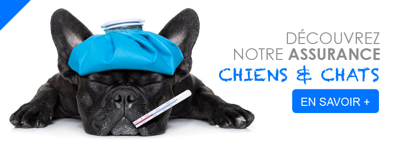 credit immobilier bordeaux